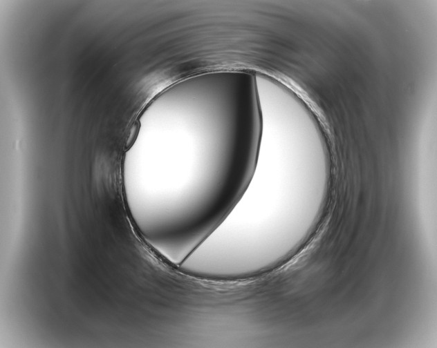 X0000087061289200704180929