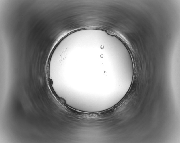 X0000087061291200704180929
