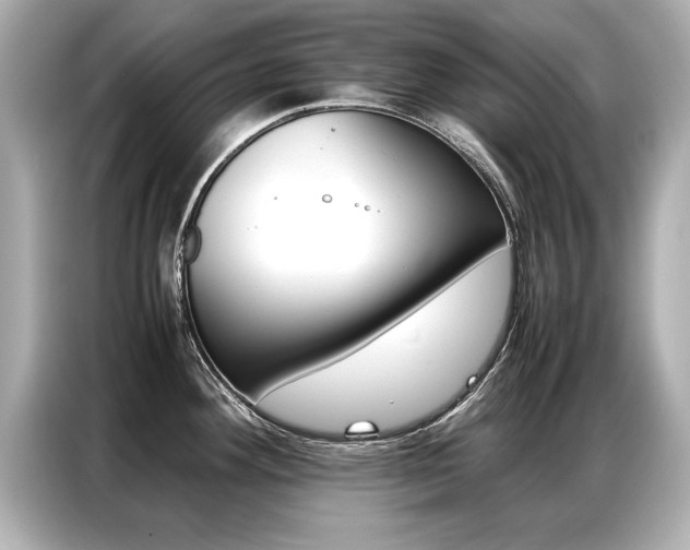 X0000087061292200704180929