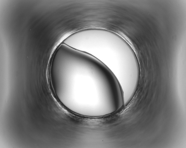 X0000087061293200704180929
