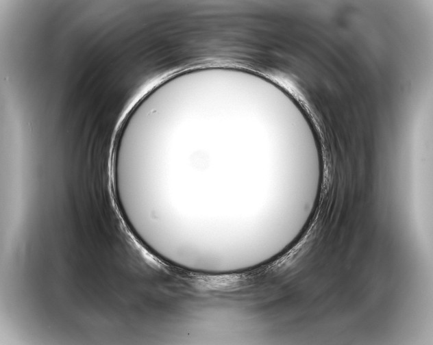 X0000087061294200704180929