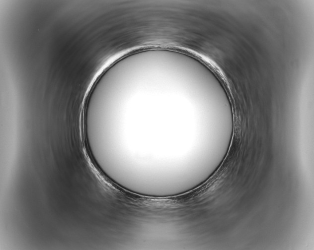 X0000087061295200704180929