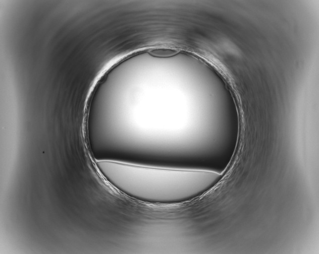 X0000087061296200704180929