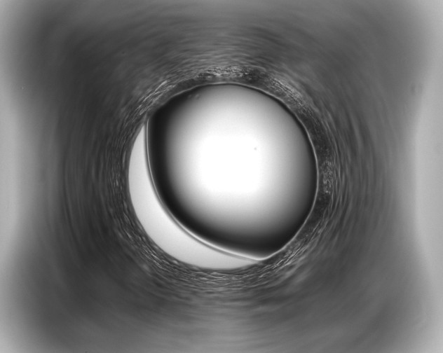 X0000087061298200704180928