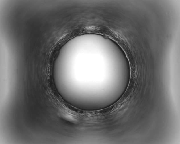 X0000087061301200704180928