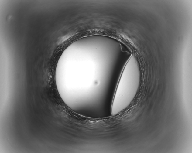 X0000087061303200704180928