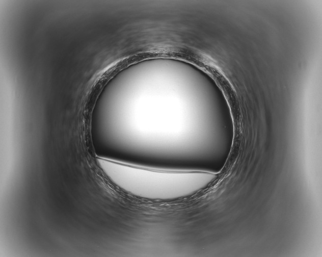X0000087061304200704180928