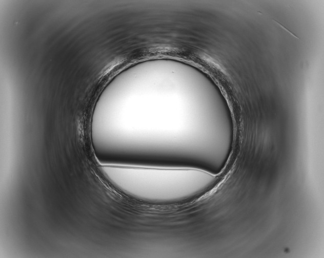 X0000087061305200704180928