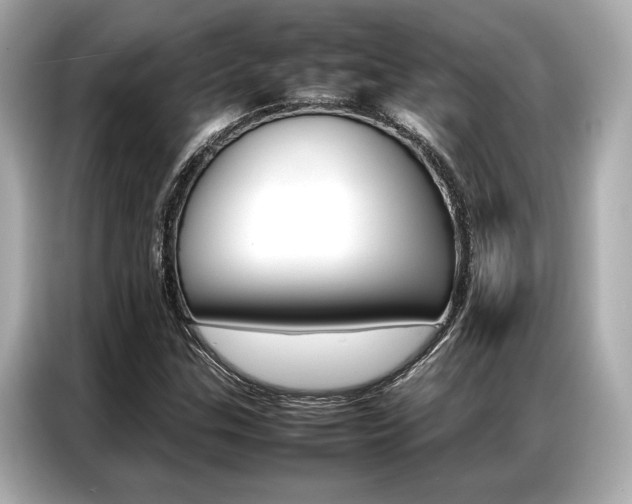X0000087061307200704180928