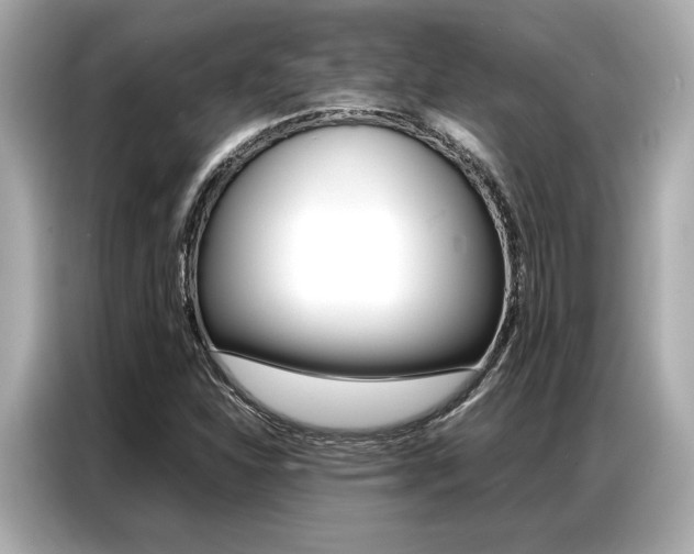 X0000087061310200704180928