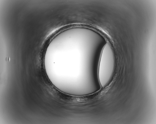 X0000087061311200704180928