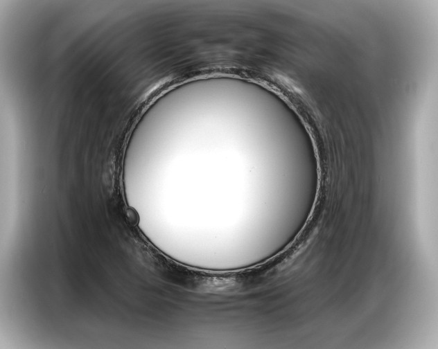X0000087061313200704180929