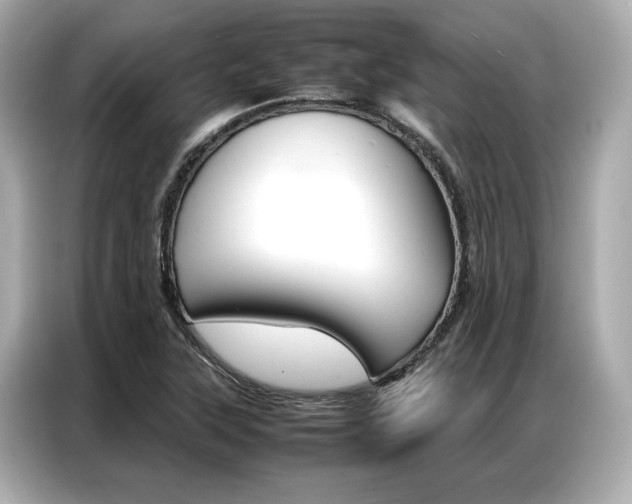 X0000087061315200704180929