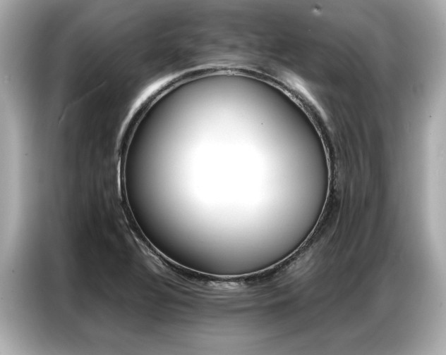 X0000087061320200704180929