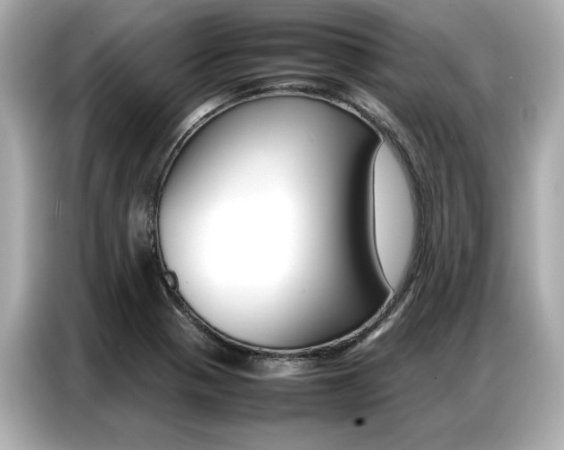 X0000087061321200704180929
