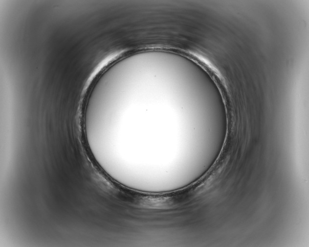 X0000087061325200704180929