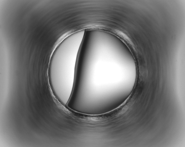 X0000087061330200704180929