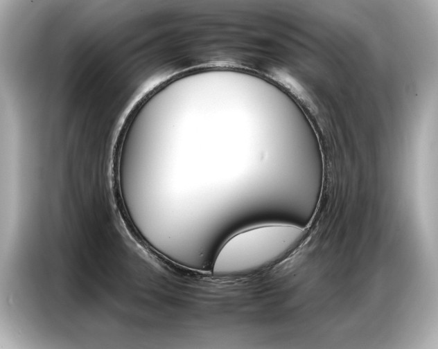 X0000087061331200704180929