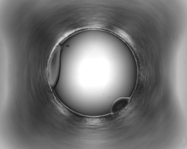 X0000087061332200704180929