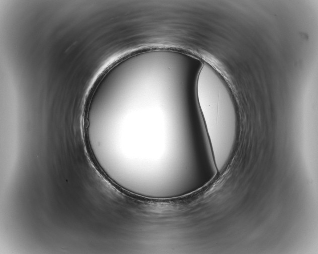 X0000087061334200704180929