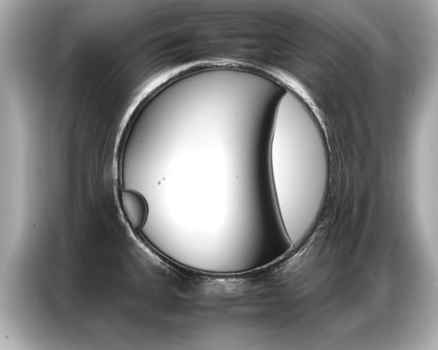 X0000087061335200704180929