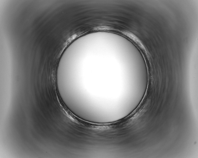 X0000087061337200704180929