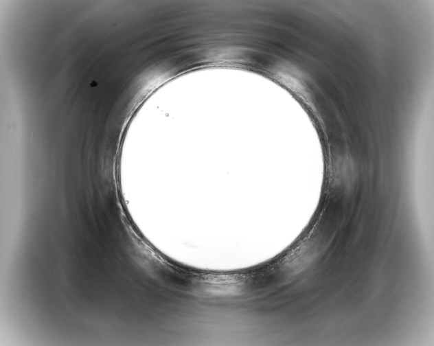 X0000087061338200704180929