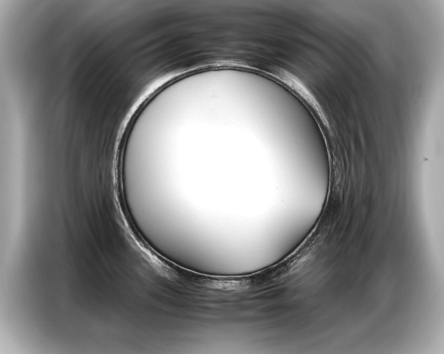 X0000087061339200704180929