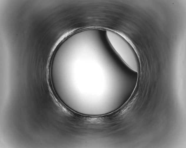 X0000087061341200704180929
