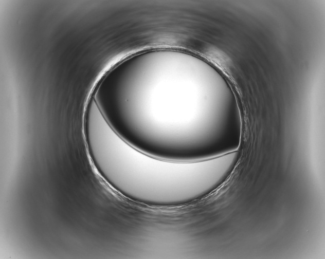X0000087061342200704180929