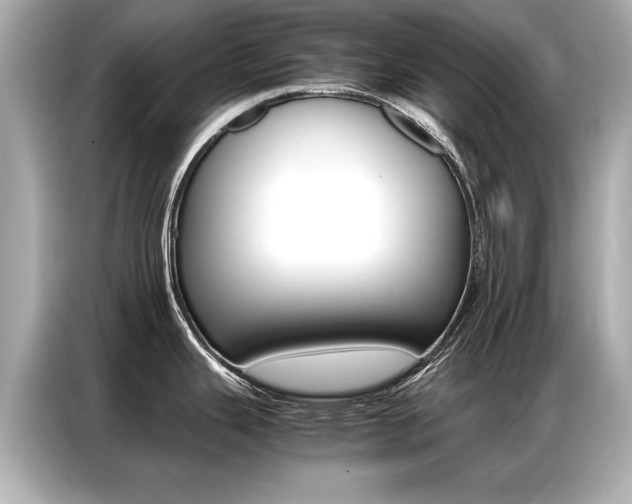 X0000087061343200704180929