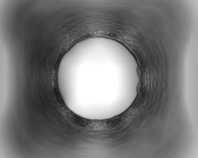 X0000087061346200704180928