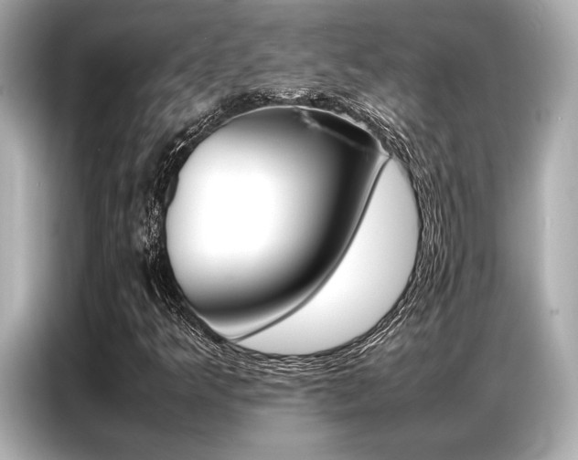 X0000087061349200704180928