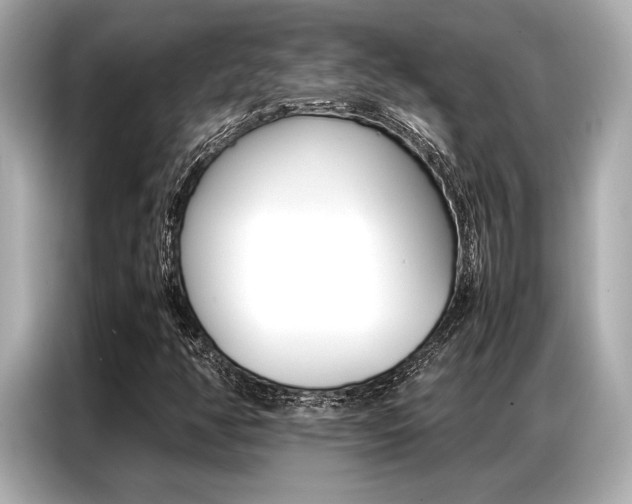 X0000087061350200704180928