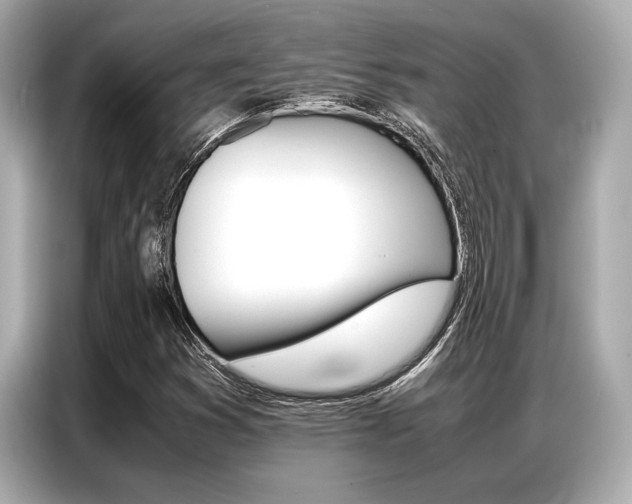 X0000087061353200704180928