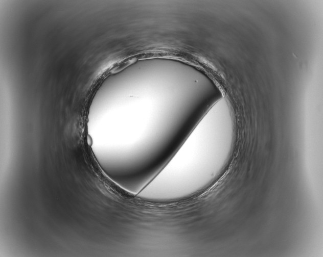 X0000087061355200704180928