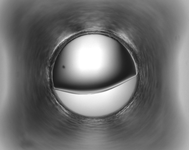 X0000087061356200704180928