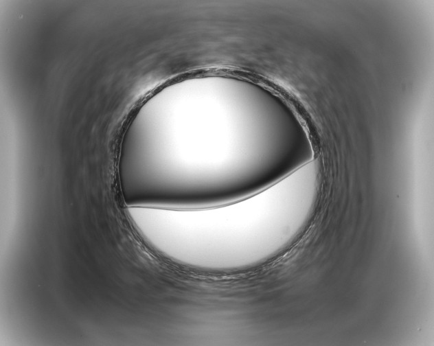 X0000087061359200704180928