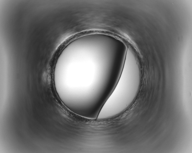 X0000087061360200704180928