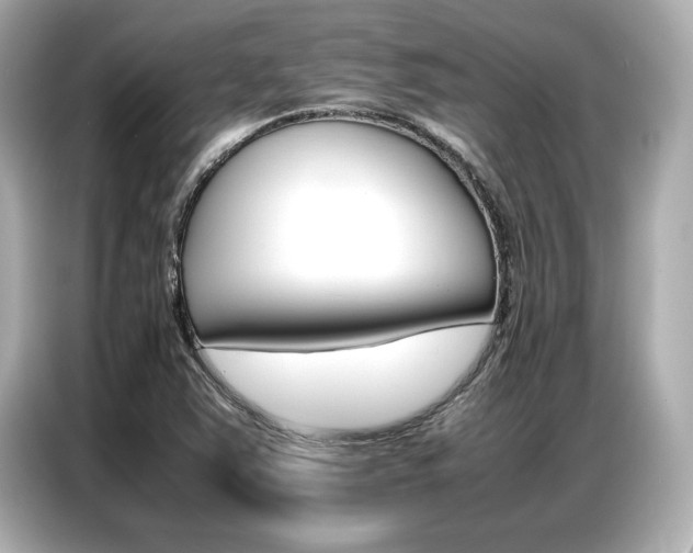 X0000087061363200704180928