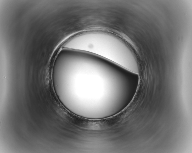 X0000087061364200704180928