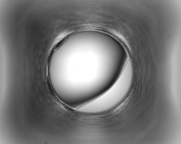 X0000087061365200704180928