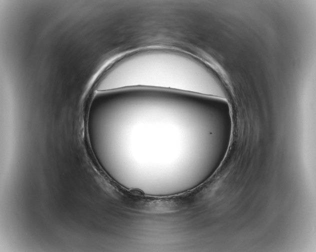 X0000087061368200704180928