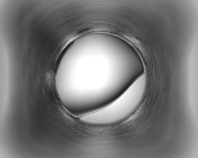 X0000087061369200704180928