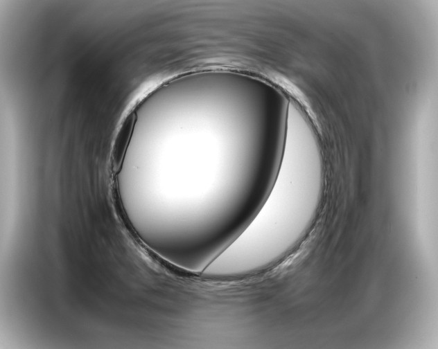 X0000087061373200704180928