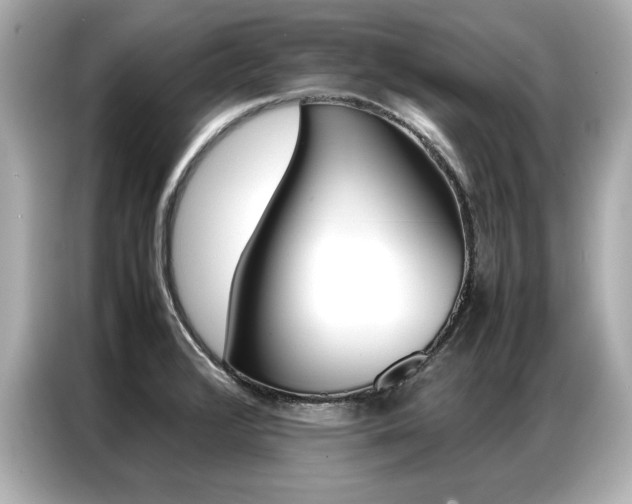 X0000087061376200704180928