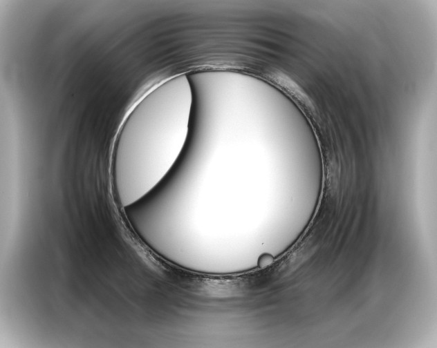 X0000087061378200704180928