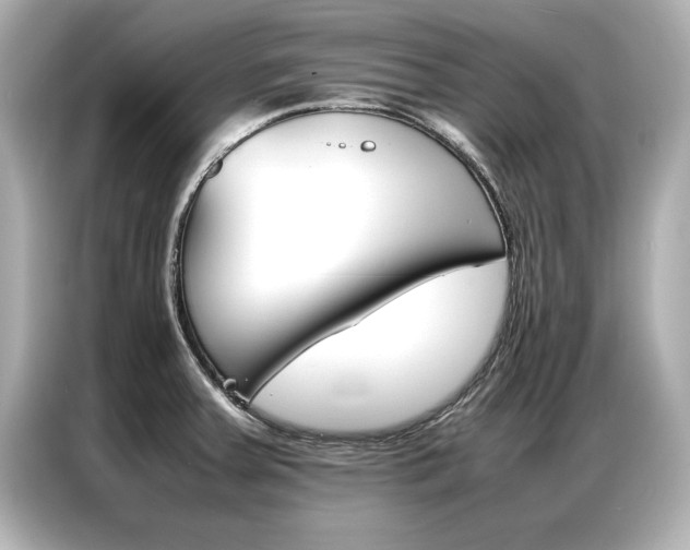 X0000087061379200704180928
