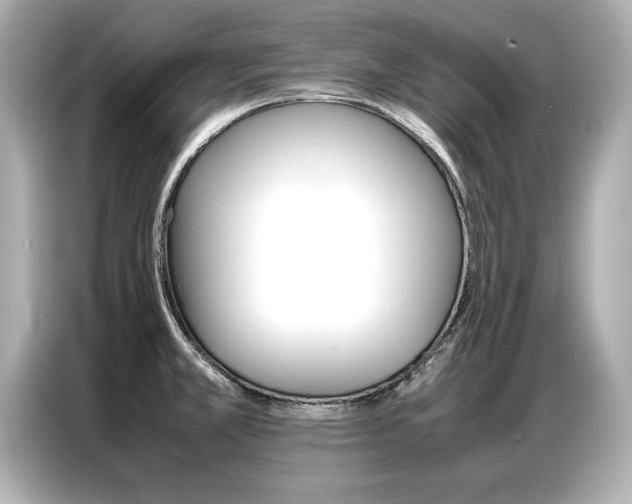 X0000087061381200704180928