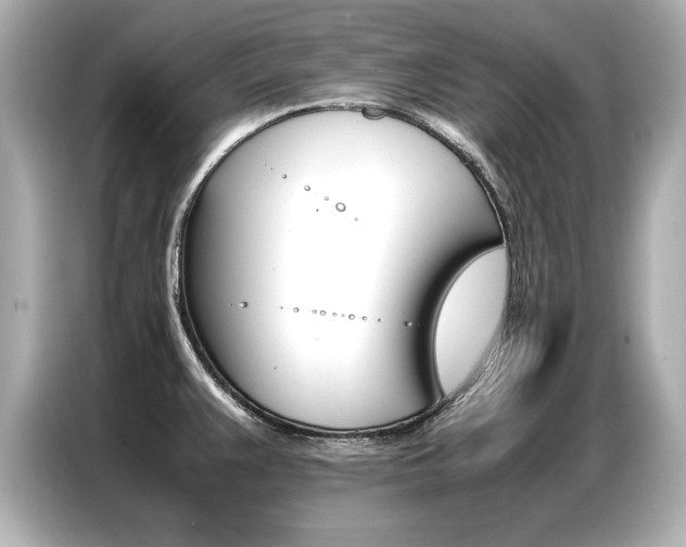 X0000087061383200704180928